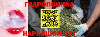 эйфоретик Берёзовский