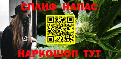 гидропоника Будённовск