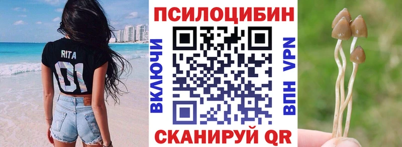 сайты даркнета состав  Курчатов  Галлюциногенные грибы Psilocybine cubensis 
