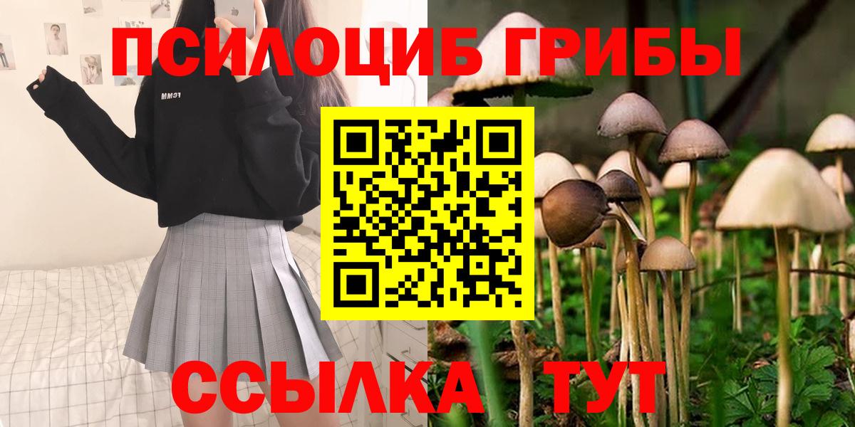 Курчатов  хочу   Галлюциногенные грибы мицелий  Вход с VPN  Галлюциногенные грибы MAGIC MUSHROOMS 