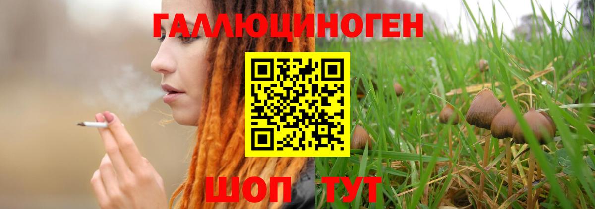 Псилоцибиновые грибы прущие грибы Курчатов